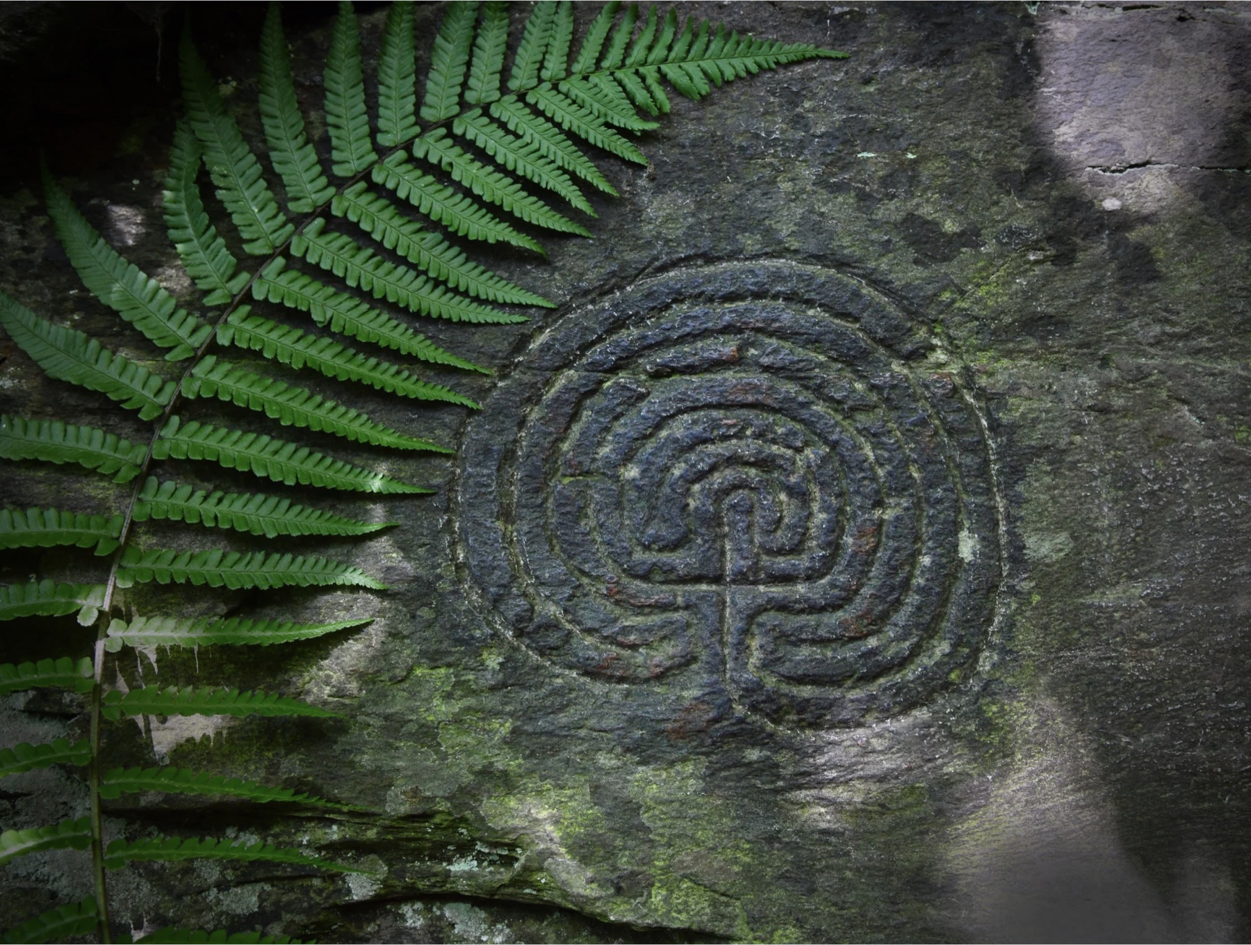 A fern draped over a stone carved with an ancient labyrinth